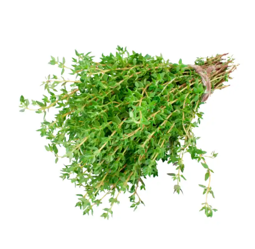 Thyme /bunch