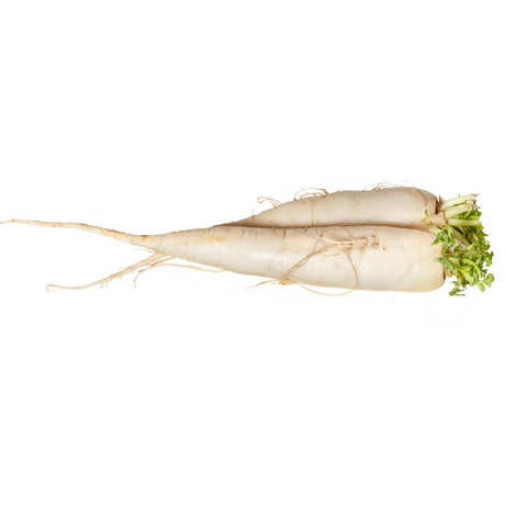 White Radish