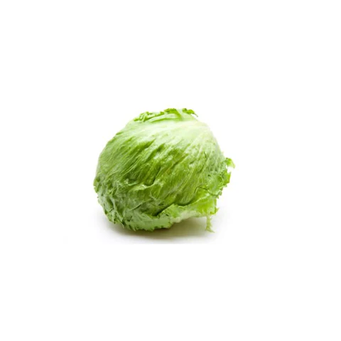 iceberg lettuce Iceberg Lettuce /pc