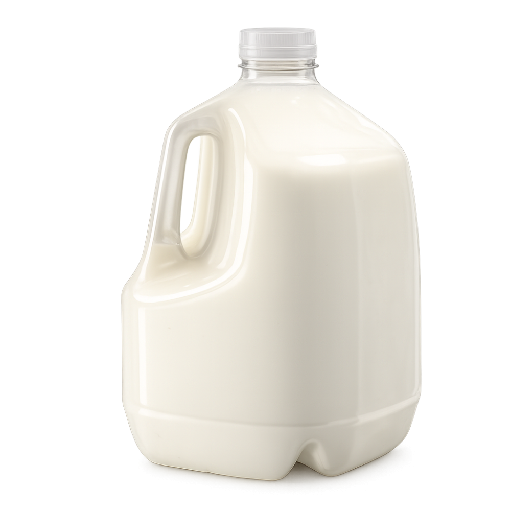 Plain Yogurt /litre